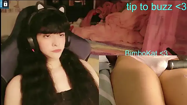 Show webcam de BimboCat