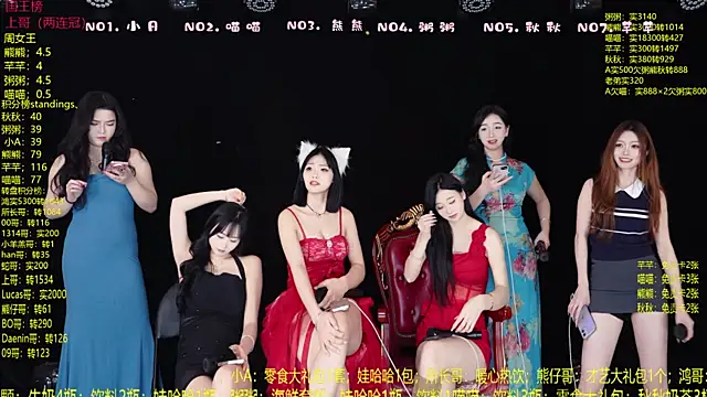 YB-001's Webcam Show