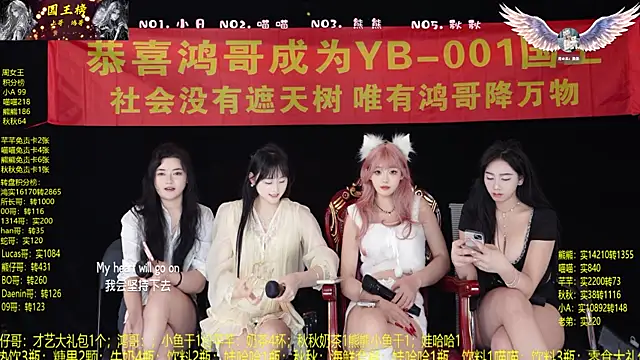 Show Webcam de YB-001