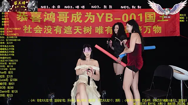 Show webcam de YB-001