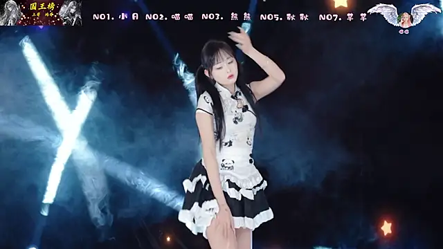 Show de webcam de YB-001