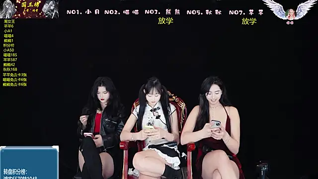 Show Webcam de YB-001