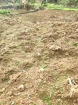 โชว์เว็บแคมของ tian7788