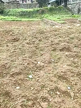 Show Webcam de tian7788