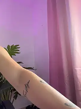 Im_lauritaan Webbikameraesitys
