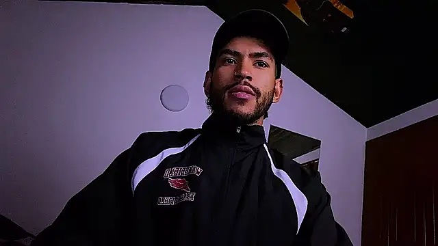 3v1lのウェブカメラショー
