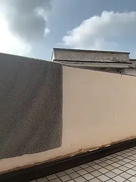 daaqnn – webcam-show