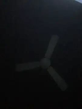 alan0assn Webbikameraesitys