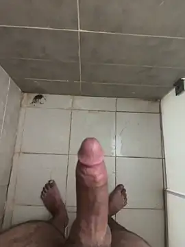Show modela aumennn na web-kameri