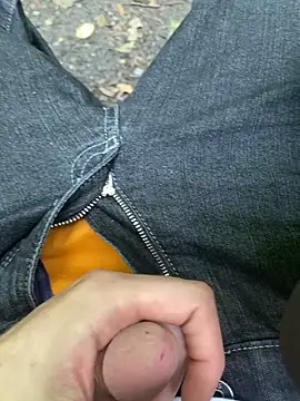 Gaypride Webcam show