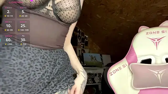 HeidiTian Webcam-Show