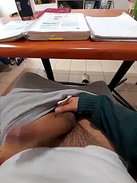 Show webcam de Franc18