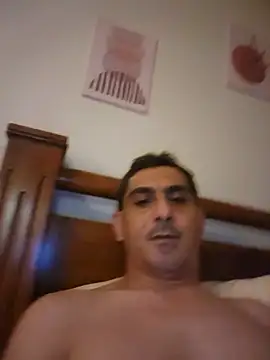 Show de SnideWheed na webcam