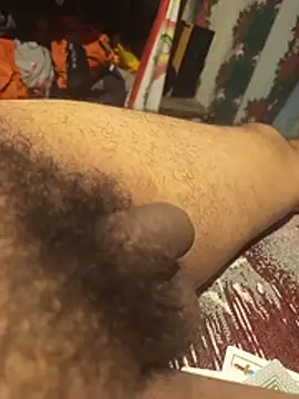 Show Webcam de jimyx3