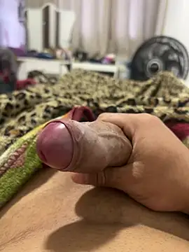 Lp201_ Webcamshow