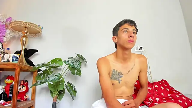 lucian_daviin Webbikameraesitys