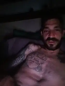 DiremosSI Show Webcam
