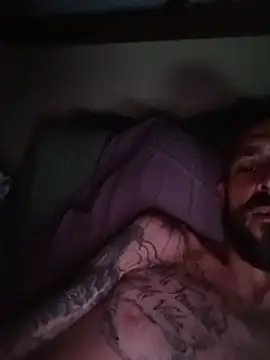 DiremosSI Pertunjukan Webcam