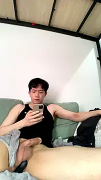 הופעת וובקאם של CouplingCry