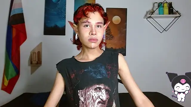 Show Webcam de nicolai_a
