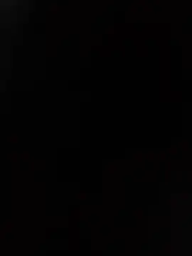 TirelessLot3 Webcam-Show