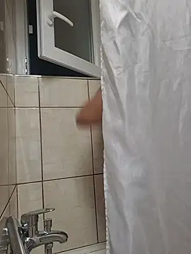 TirelessLot3 Show Webcam