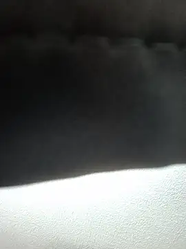 Show webcam de TirelessLot3