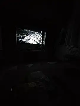 TirelessLot3's Webcam Show