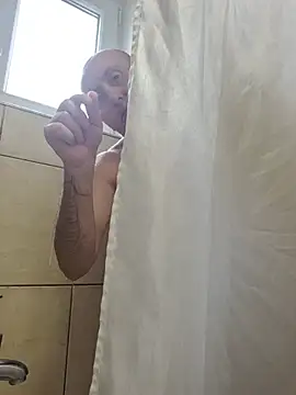 Show Webcam de TirelessLot3