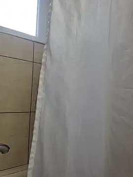 TirelessLot3 Show Webcam