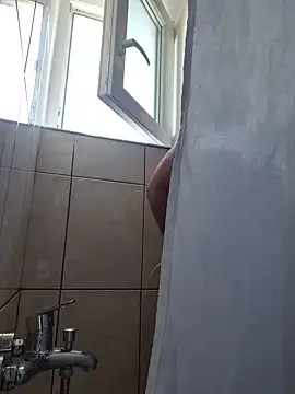 Show webcam de TirelessLot3