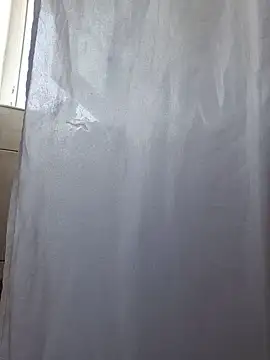 TirelessLot3 Show Webcam