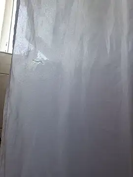 TirelessLot3 Webcam show