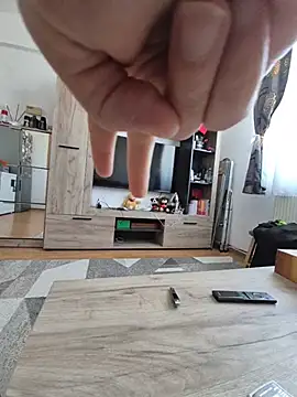 TirelessLot3 Show Webcam