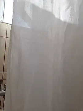 TirelessLot3 Show in webcam