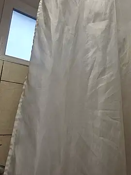 TirelessLot3 Show in webcam