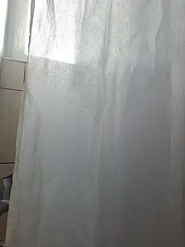 TirelessLot3 Show Webcam