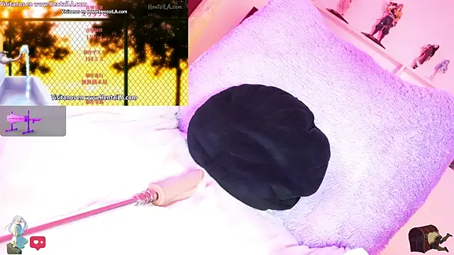 Noha-- Show in webcam