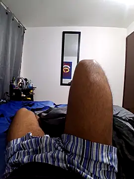 prototipoA45 Show Webcam
