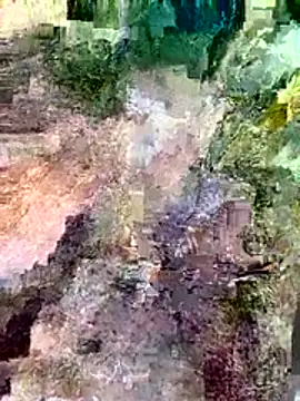 prototipoA45 webcam show