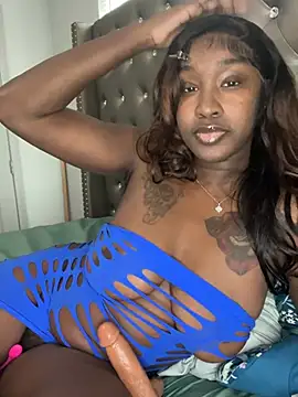 ToyaThick Show in webcam