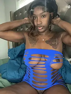 Show Webcam de ToyaThick