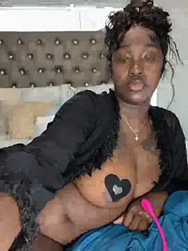 ToyaThick's Webcam Show