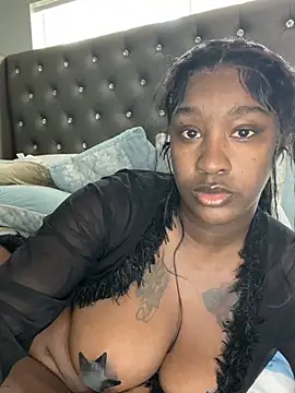 Show Webcam de ToyaThick