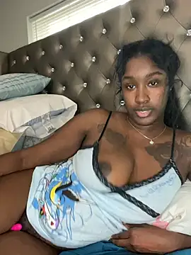 Show Webcam de ToyaThick