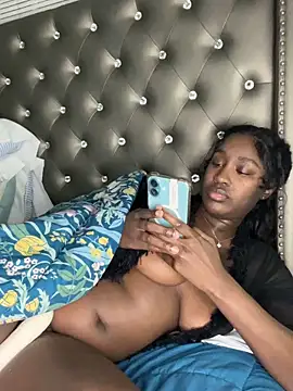Show webcam de ToyaThick