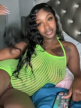 Show webcam de ToyaThick