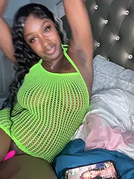 Show Webcam de ToyaThick