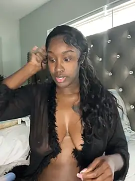 Show Webcam de ToyaThick