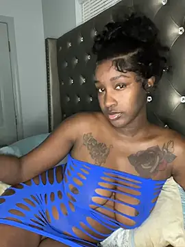 ToyaThick's Webcam Show